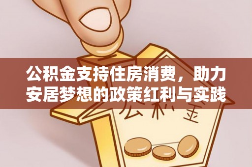 林园公积金支持住房消费，助力安居梦想的政策红利与实践