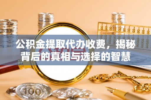 林园公积金提取代办收费，揭秘背后的真相与选择的智慧