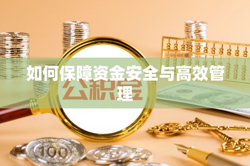 林园如何保障资金安全与高效管理