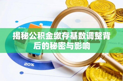 林园揭秘公积金缴存基数调整背后的秘密与影响