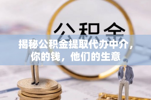 林园揭秘公积金提取代办中介，你的钱，他们的生意