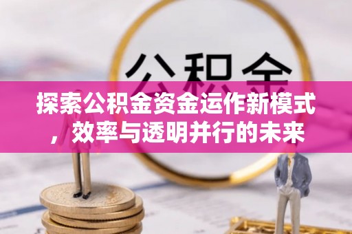 林园探索公积金资金运作新模式，效率与透明并行的未来