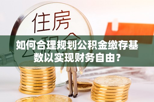 林园如何合理规划公积金缴存基数以实现财务自由？