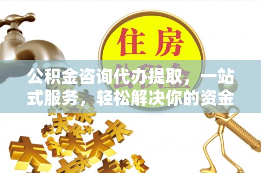 林园公积金咨询代办提取，一站式服务，轻松解决你的资金难题