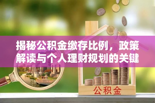 林园揭秘公积金缴存比例，政策解读与个人理财规划的关键