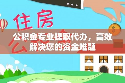 林园公积金专业提取代办，高效解决您的资金难题