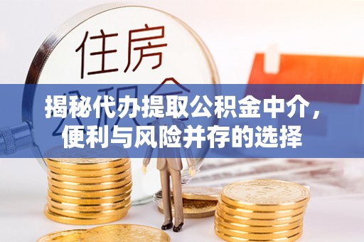 林园揭秘代办提取公积金中介，便利与风险并存的选择