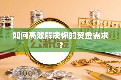 林园如何高效解决你的资金需求？