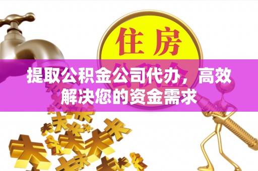 林园提取公积金公司代办，高效解决您的资金需求