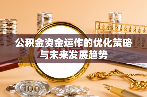 林园公积金资金运作的优化策略与未来发展趋势