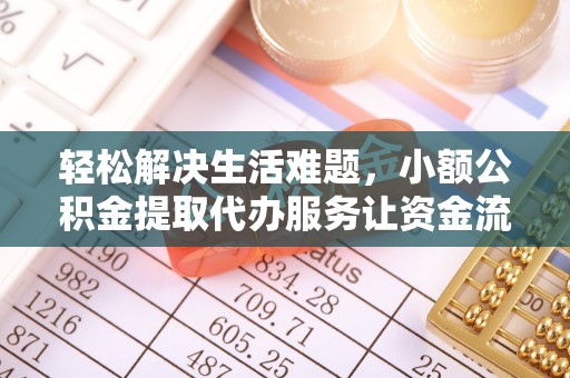 林园轻松解决生活难题，小额公积金提取代办服务让资金流动更便捷