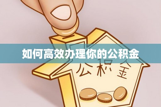 林园如何高效办理你的公积金