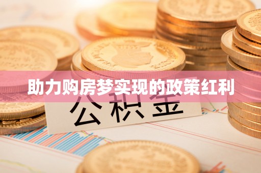 林园助力购房梦实现的政策红利