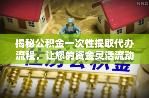 林园揭秘公积金一次性提取代办流程，让您的资金灵活流动