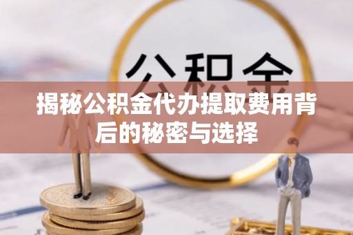 林园揭秘公积金代办提取费用背后的秘密与选择