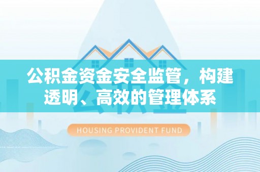 林园公积金资金安全监管，构建透明、高效的管理体系