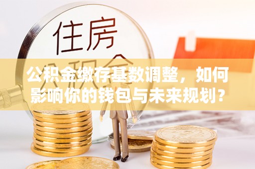 林园公积金缴存基数调整，如何影响你的钱包与未来规划？