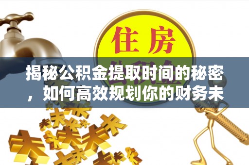 林园揭秘公积金提取时间的秘密，如何高效规划你的财务未来