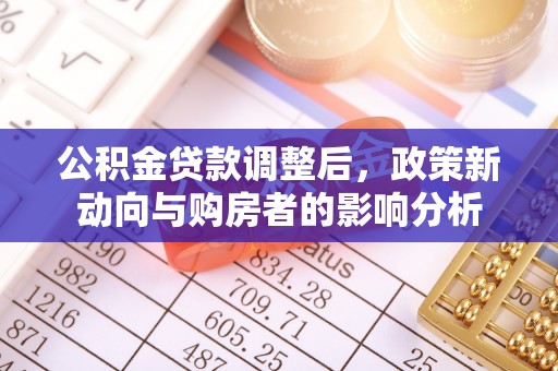 林园公积金贷款调整后，政策新动向与购房者的影响分析
