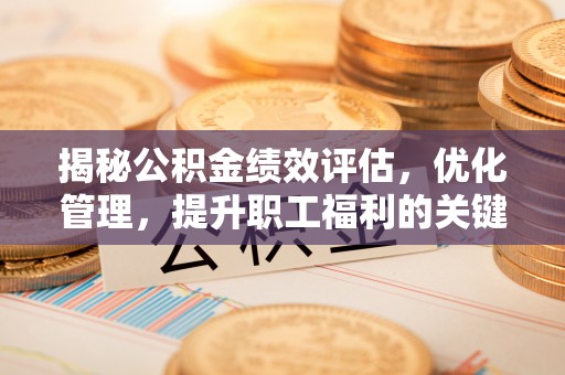 林园揭秘公积金绩效评估，优化管理，提升职工福利的关键一步