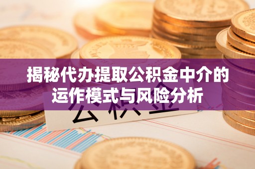 林园揭秘代办提取公积金中介的运作模式与风险分析
