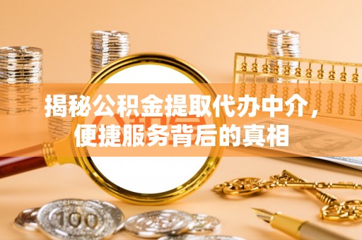 林园揭秘公积金提取代办中介，便捷服务背后的真相