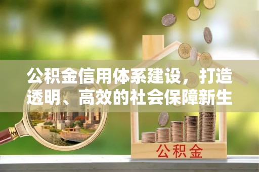 林园公积金信用体系建设，打造透明、高效的社会保障新生态