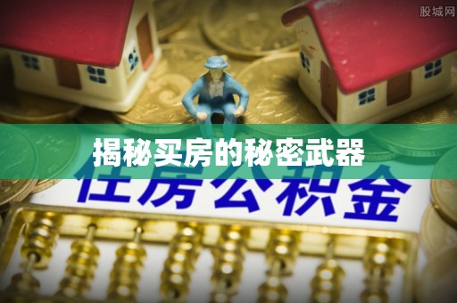林园揭秘买房的秘密武器