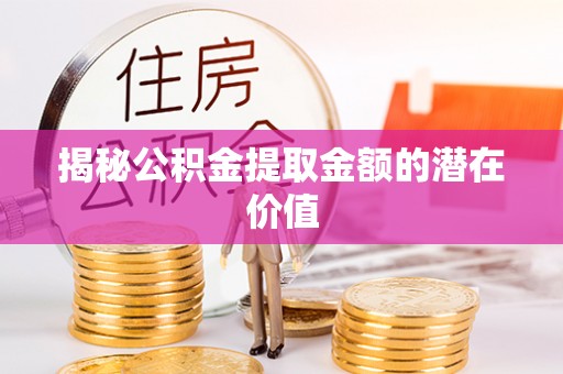 林园揭秘公积金提取金额的潜在价值