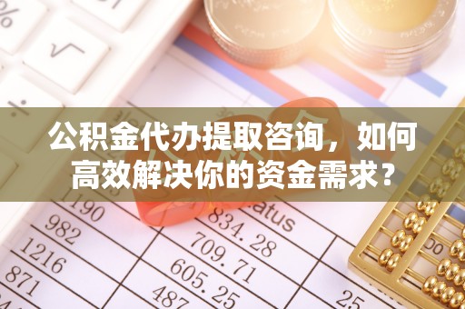 林园公积金代办提取咨询，如何高效解决你的资金需求？