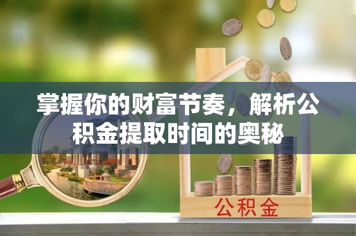 林园掌握你的财富节奏，解析公积金提取时间的奥秘