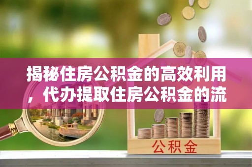 林园揭秘住房公积金的高效利用，代办提取住房公积金的流程与技巧