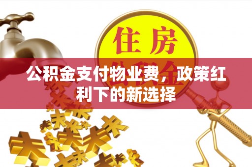 林园公积金支付物业费，政策红利下的新选择