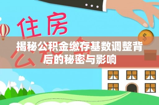 林园揭秘公积金缴存基数调整背后的秘密与影响