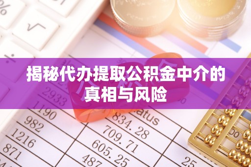 林园揭秘代办提取公积金中介的真相与风险