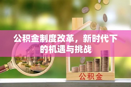 林园公积金制度改革，新时代下的机遇与挑战