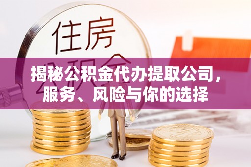 林园揭秘公积金代办提取公司，服务、风险与你的选择