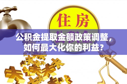 林园公积金提取金额政策调整，如何最大化你的利益？