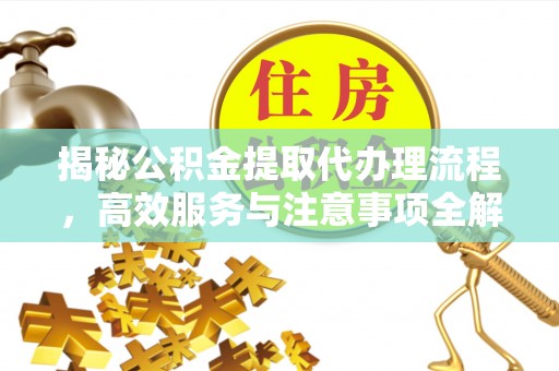 林园揭秘公积金提取代办理流程，高效服务与注意事项全解析