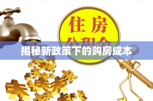 林园揭秘新政策下的购房成本