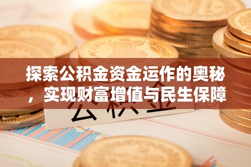林园探索公积金资金运作的奥秘，实现财富增值与民生保障