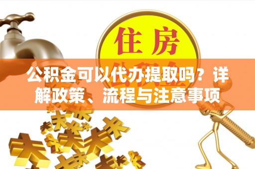 林园公积金可以代办提取吗？详解政策、流程与注意事项