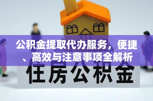 林园公积金提取代办服务，便捷、高效与注意事项全解析