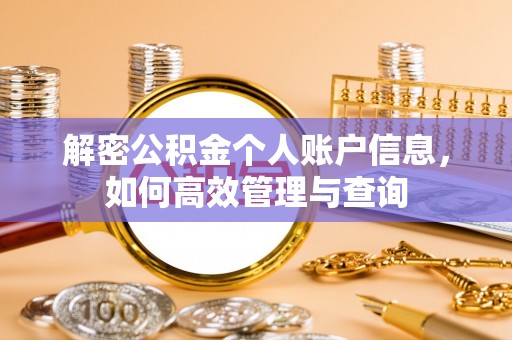 林园解密公积金个人账户信息，如何高效管理与查询