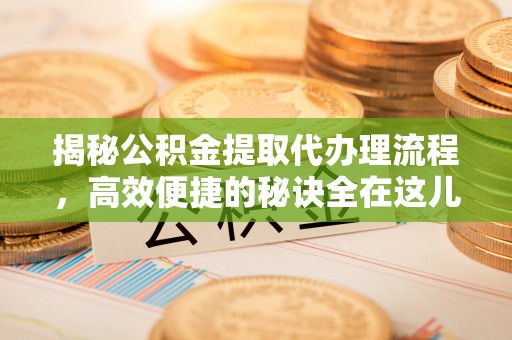 林园揭秘公积金提取代办理流程，高效便捷的秘诀全在这儿