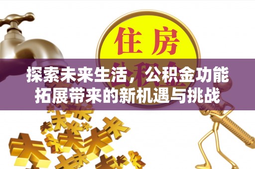 林园探索未来生活，公积金功能拓展带来的新机遇与挑战