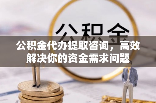 林园公积金代办提取咨询，高效解决你的资金需求问题