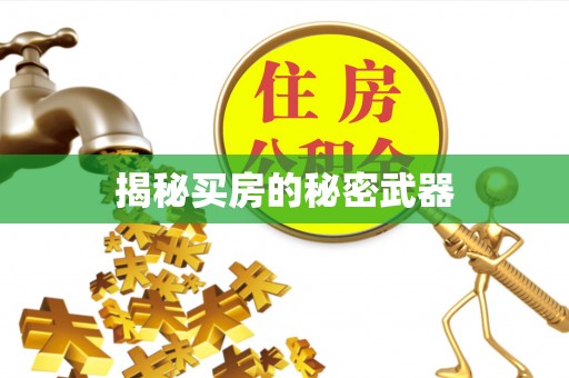 林园揭秘买房的秘密武器