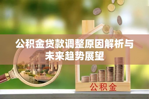 林园公积金贷款调整原因解析与未来趋势展望
