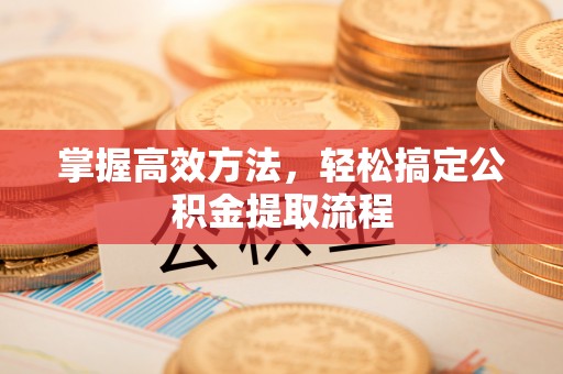 林园掌握高效方法，轻松搞定公积金提取流程